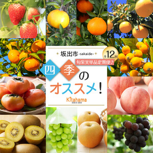 【全12回】坂出市四季のオススメ！旬果実単品定期便♪