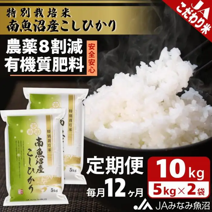 【JAみなみ魚沼定期便】特別栽培米南魚沼産こしひかり8割減（10kg×全12回）精米 農薬8割削減 有機肥料 精米HACCP認定工場 特A獲得日本一産地  ｜こしひかり