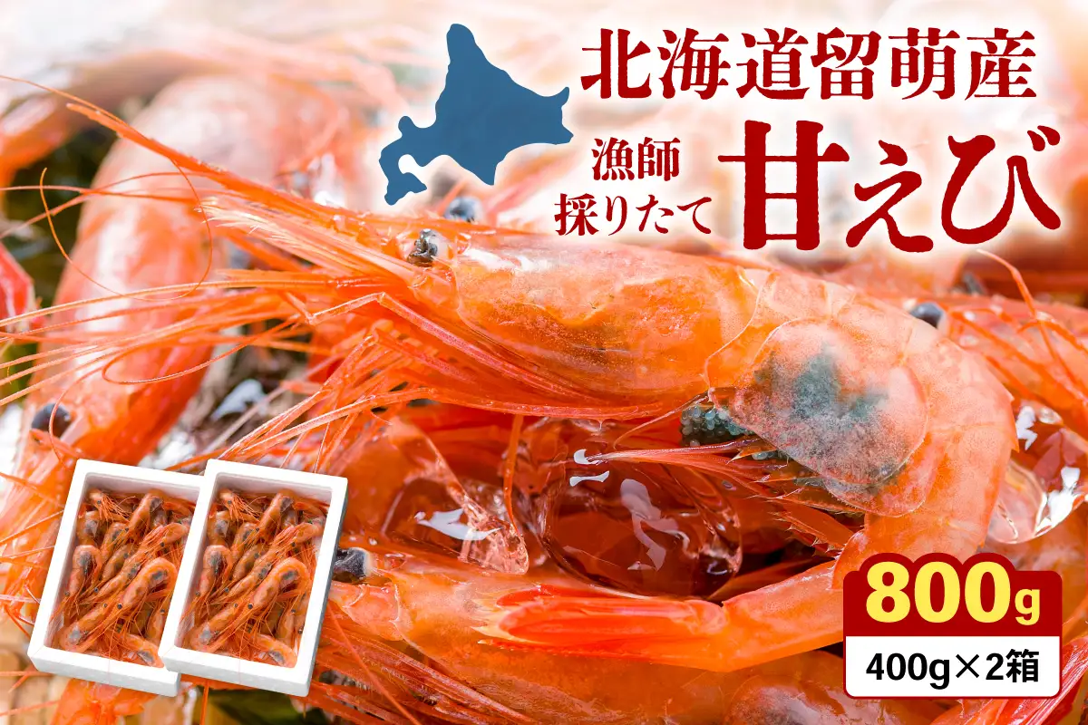 甘エビ 北海道 漁師採りたて 甘えび 400g×2箱 留萌産 あまえび 甘海老 海老 エビ 南蛮エビ つまみ おつまみ ご飯のお供 おかず 海鮮 海産物 海の幸 魚介 魚介類 刺身 お刺身 刺し身 さしみ 天ぷら 冷凍 留萌 R006-006