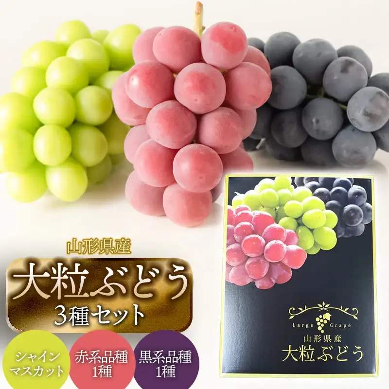 【令和8年産先行予約】大粒ぶどう3種　約2kg　シャインマスカット＋他2品種　丸果庄内青果