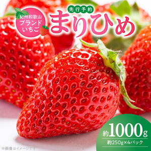 G7346_【2027年先行予約】 紀州和歌山ブランド いちご まりひめ 250g×4P