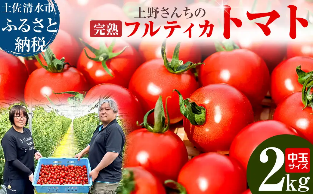 【令和８年10月】完熟フルティカトマト2kg（中玉サイズ）天然地下水使用 　 甘熟ミディトマト とまと 2000g 2キロ 野菜 サラダ 料理 ギフト 国産 高知県 土佐清水市【R00286】