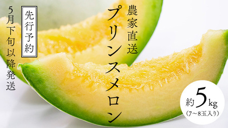メロン プリンスメロン 1箱 約5kg  7～8玉 八千代町産 先行予約