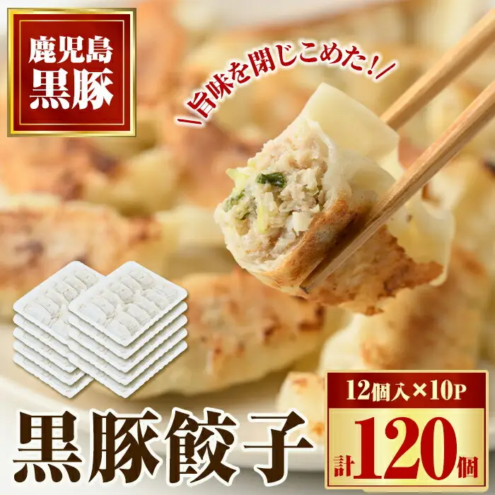 【A02046】黒豚餃子セット(12個入×10パック) 鹿児島 国産 九州産 黒豚 黒ぶた 豚肉 冷凍 餃子 ギョーザ ぎょうざ おかず 惣菜【和田養豚】