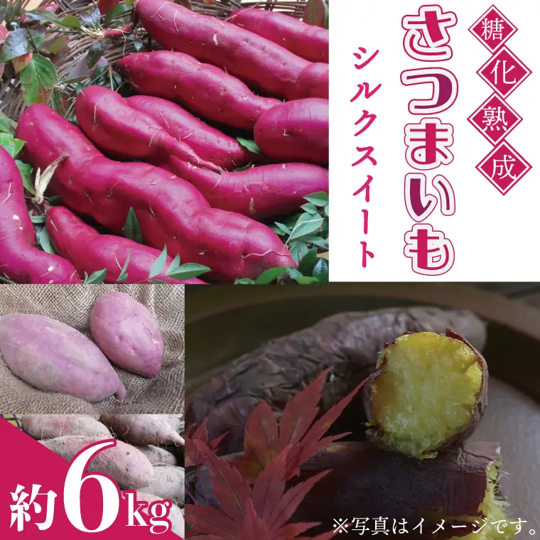さつまいも 6kg シルクスイート AU001-3