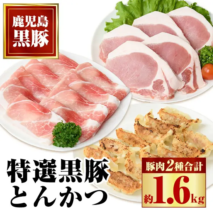 【B02077】特選黒豚とんかつセット(計約1.6kg)、黒豚餃子(12個入×1P)付き！ 鹿児島 国産 九州産 黒豚 豚肉 お肉 ロース モモ 餃子 ぎょうざ 焼肉 とんかつ【和田養豚】
