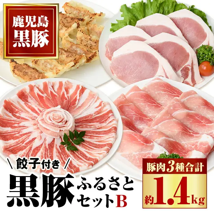 【B02079】ふるさと黒豚セットＢ！黒豚餃子(12個入×3P)付き！ 鹿児島 国産 九州産 黒豚 豚肉 お肉 バラ ロース モモ スライス 餃子 ぎょうざ 焼肉 しゃぶしゃぶ すきやき おかず 惣菜【和田養豚】