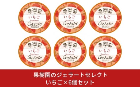[季節限定] 果樹園のジェラートセレクト [いちご6個セット] ストロベリー ジェラート詰合せ アイス詰合せ [田沢農園]