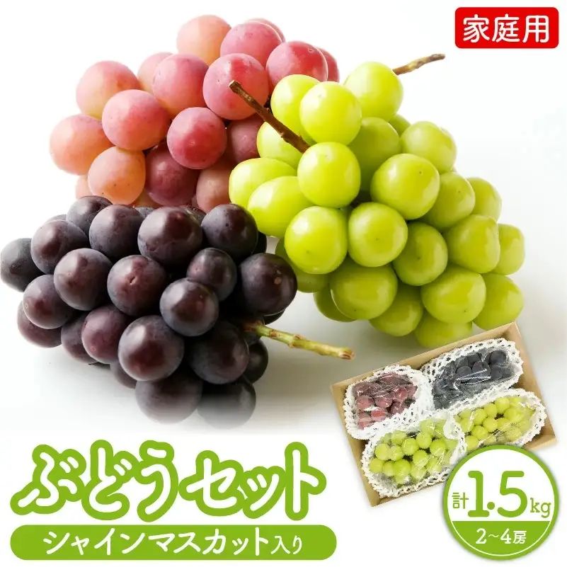 シャインマスカット入り詰め合わせぶどう　１.５ｋｇ　ご家庭用　0065-2604