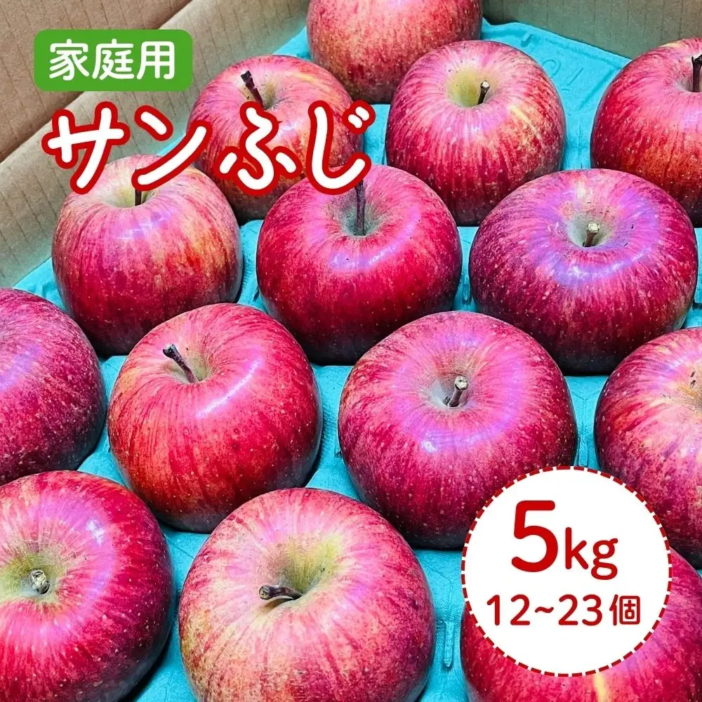 りんご（サンふじ）５ｋｇ　１２～２３個　ご家庭用　0065-2610