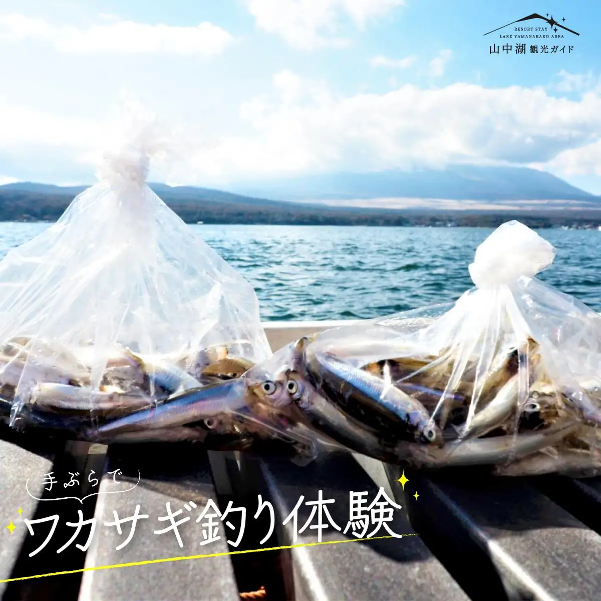 手ぶらでワカサギ釣り体験 YM018