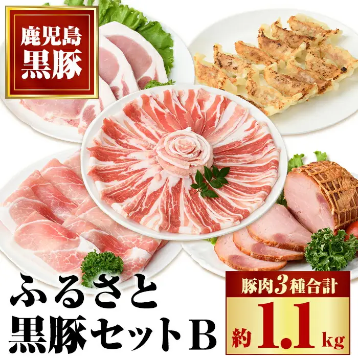 【B02098】ふるさと黒豚セットB！ 黒豚バラ肉・肩ロース・モモスライス(計約1.1kg)、黒豚焼豚(約200g×2個)、黒豚餃子(12個入り×3P) 鹿児島 国産 九州産 黒豚 豚肉 お肉 しゃぶしゃぶ 焼豚 叉焼 チャーシュー 餃子 ぎょうざ ギョーザ 水餃子 ギフト【和田養豚】