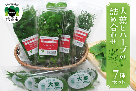 大葉とハーブの詰め合わせセット【新潟県妙高市】 料理 の アクセント 大葉 セルバチカ イタリアンパセリ ローズマリー スペアミント スープ パスタ サラダ スパイシー ゴマ風味 香り 辛味 清涼感 えぐみ が 少ない 独特な香りが特徴 化学農薬不使用