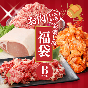 福袋 木城町 お肉いろいろお楽しみセットB K16_0070_3