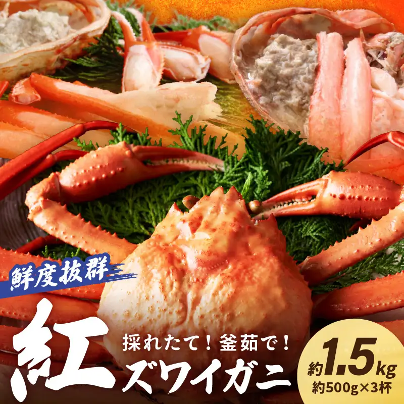 【カニ】【採れたて！釜茹で！ずわいがに】紅ズワイガニ 3杯 カニ