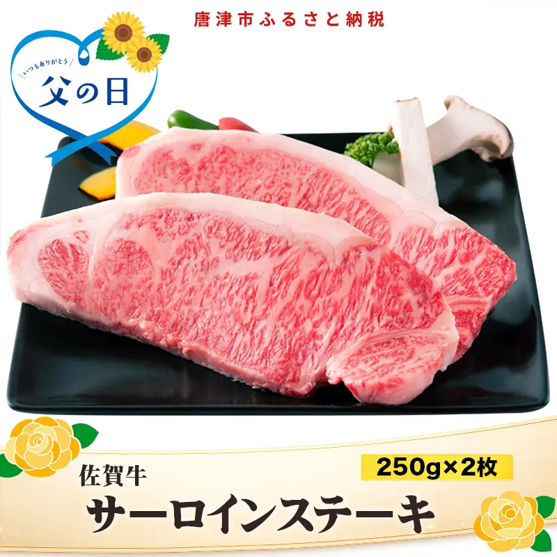 「父の日」佐賀牛 サーロインステーキ250g×2枚 (合計500g) 和牛 ご褒美に ギフト用 2人前 霜降り牛肉