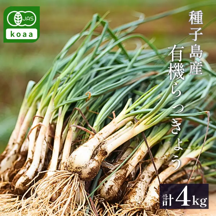 誠農園 たねがしま らっきょう （ 有機 JAS 根つき 生 らっきょう） 4kg　NFN490【700pt】