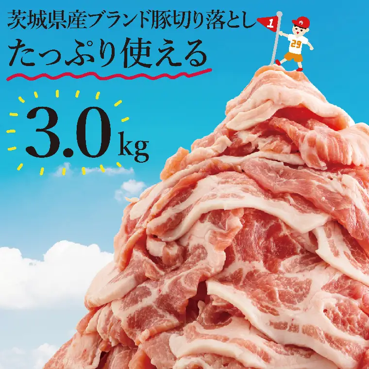 【数量限定】【リピーター続出！】茨城県産ブランド豚切り落とし3kg (300g×10p)（EC-20）