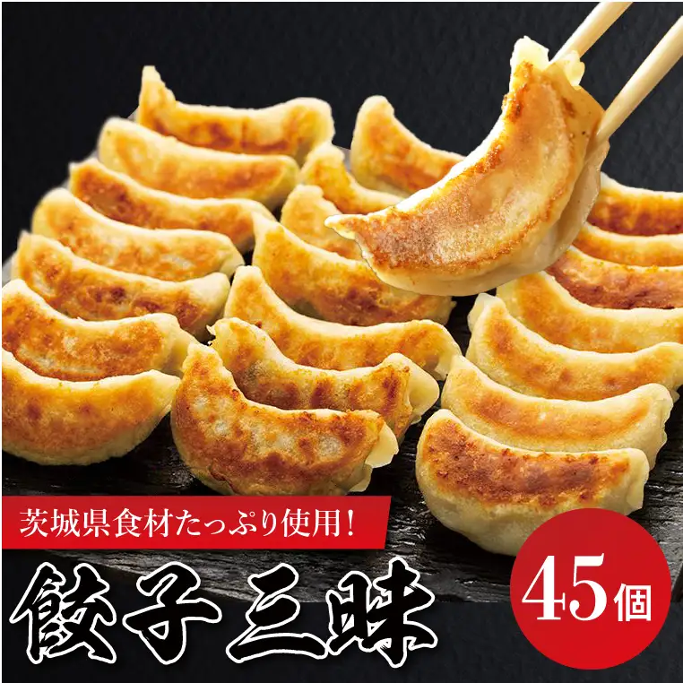 餃子三昧（EQ-1）