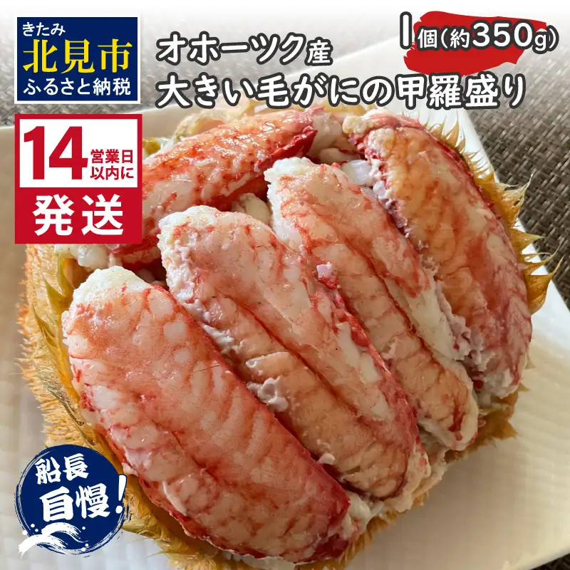 《14営業日以内に発送》オホーツク産 大きい毛がにの甲羅盛り 1個入り 冷凍 ( 毛がに かに カニ 蟹 魚介類 北海道 旨い逸品 チーズ グラタン オホーツク海 )【114-0075】