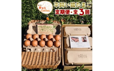 【３か月定期便】種子島 夢まるガーデン 平飼い 産み立て たまご 60個 ×３回分　NFN477 【1500pt】
