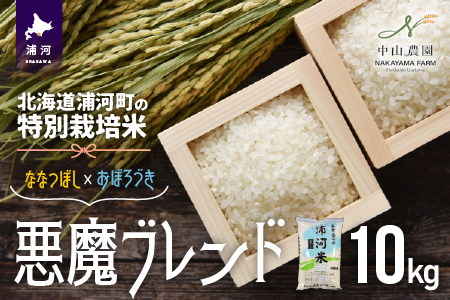 北海道浦河町の特別栽培米「悪魔ブレンド」精米(10kg×1袋)[37-1224]