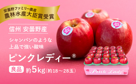  信州安曇野　 ピンクレディー® 　約5kg　（大）