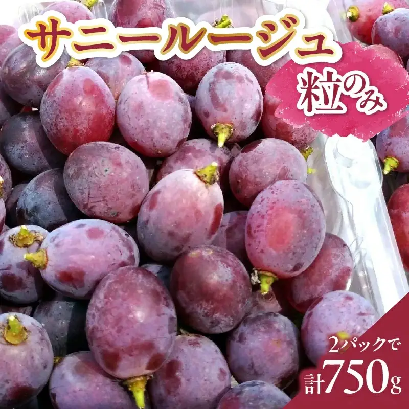 ぶどう（サニールージュ・粒のみ）２パックで７５０ｇ　0142-2604