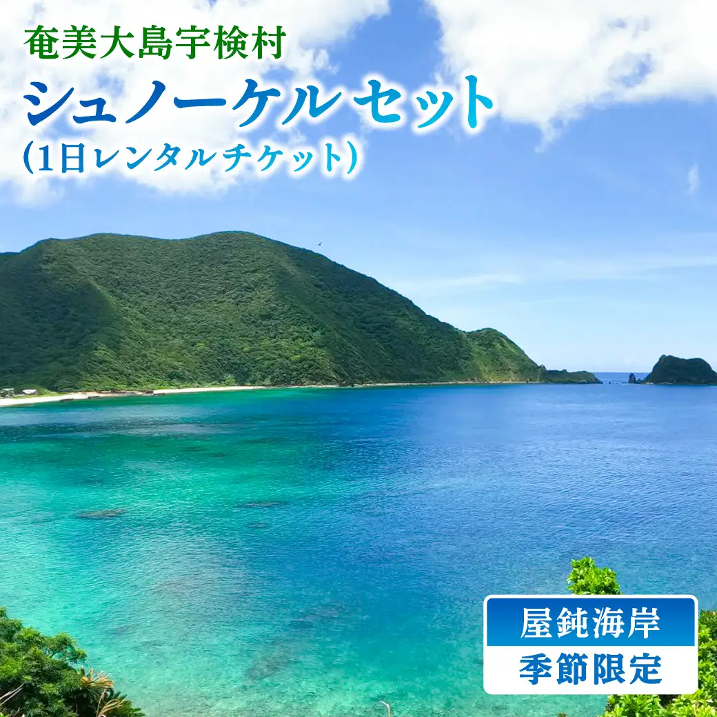 《体験》屋鈍の海で シュノーケル（１日レンタルチケット）レジャー 旅行 観光 体験 海 水泳 自然 奄美大島 宇検村 鹿児島