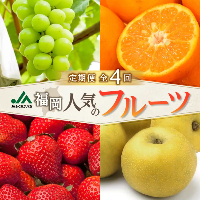 福岡人気のフルーツ定期便【全4回】ふるさと納税で人気のフルーツお届け便　JAふくおか八女からお届け！！ 梨 豊水 幸水 シャインマスカット みかん ミカン あまおう いちご 苺 イチゴ フルーツ 果物 くだもの 人気 旬 高糖度 甘い 福岡県産 アフター補償 数量限定 期間限定 産地直送 全4回 定期便 福岡県 八女市 002-T003