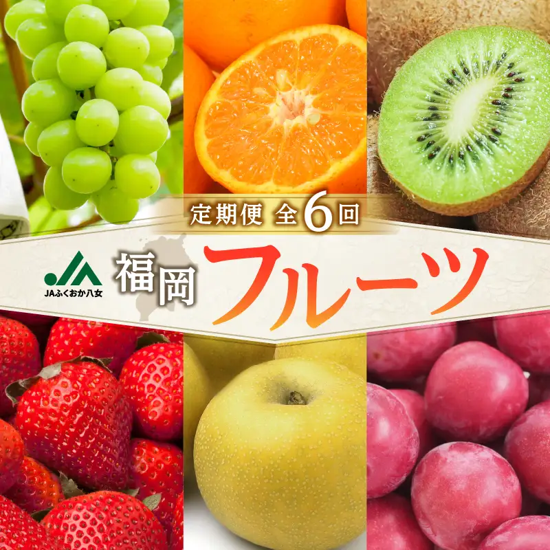 福岡フルーツ定期便【全6回】盛りだくさん果物お届け定期便　JAふくおか八女からお届け！！  梨 豊水 幸水 シャインマスカット みかん ミカン あまおう いちご 貴陽 すもも キウイ くだもの 人気 旬 高糖度 甘い アフター補償 数量限定 期間限定 産地直送 福岡県 八女市 002-T004