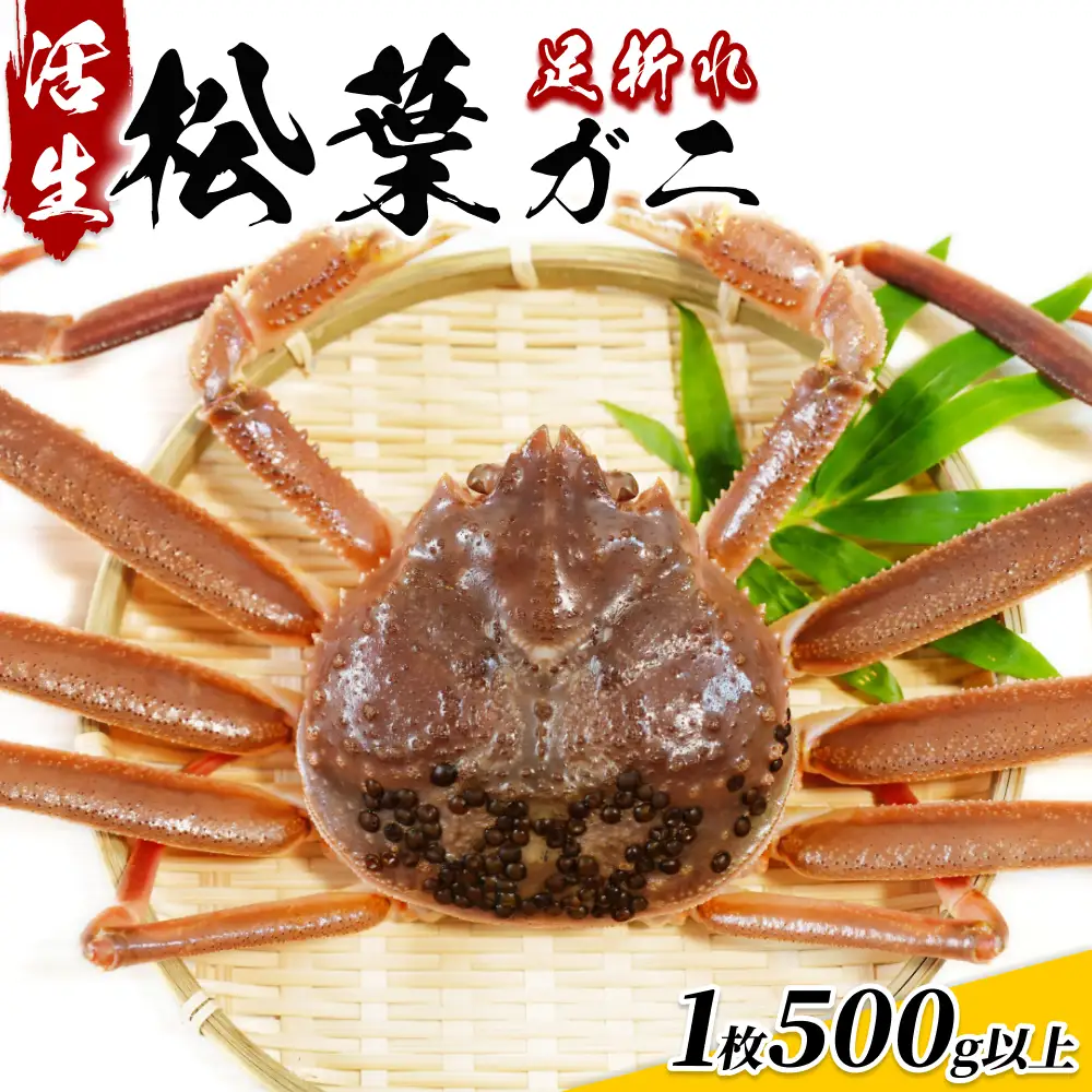 【22015】鳥取県網代産 松葉がに（足折れ１～２本）500g以上（生）※お届けは2026年11月中旬～
