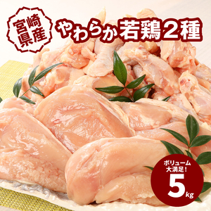 宮崎県産やわらか若鶏2種5kg  K16_0016_3