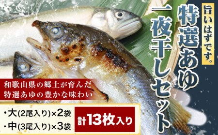 「旨いはずです。」特選あゆ一夜干しセット 13枚  干物