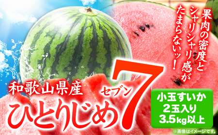 小玉すいか ひとりじめ7 約3.5kg以上 すいか