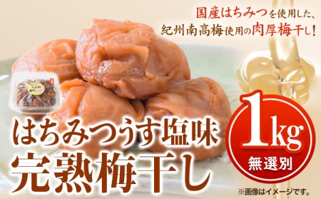 紀州南高梅 はちみつうす塩味完熟梅干し 無選別1kg
