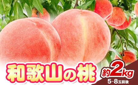 桃 秀選品 約2kg 桃
