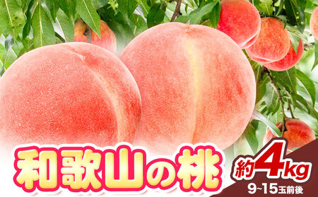 桃 秀選品 約4kg 桃