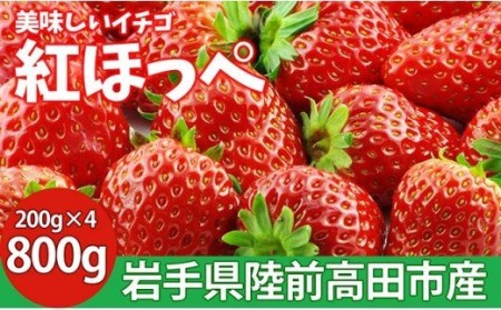 【先行予約】マツダファームの完熟いちご【紅ほっぺ200g×4pc(800g)】2022年12月～RT821