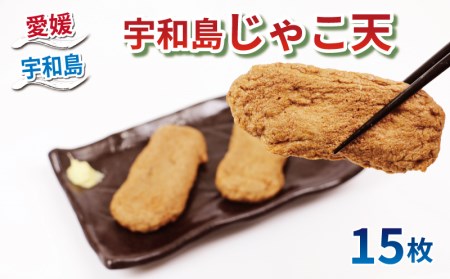 練物 宇和島じゃこ天 じゃこ天 15枚 薬師神かまぼこ 練物 C012-019001
