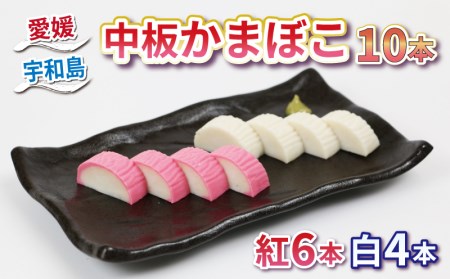 中板かまぼこ 10本 薬師神かまぼこ C012-019005