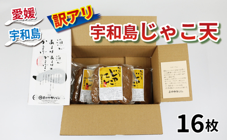 訳あり じゃこ天 16枚 薬師神かまぼこ 練り物練り物 C010-019008