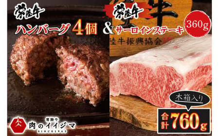 肉 常陸牛 無添加 ハンバーグ 4個 ＆ サーロインステーキ 120g×3枚 詰め合わせセット 肉のイイジマ（DU-87）