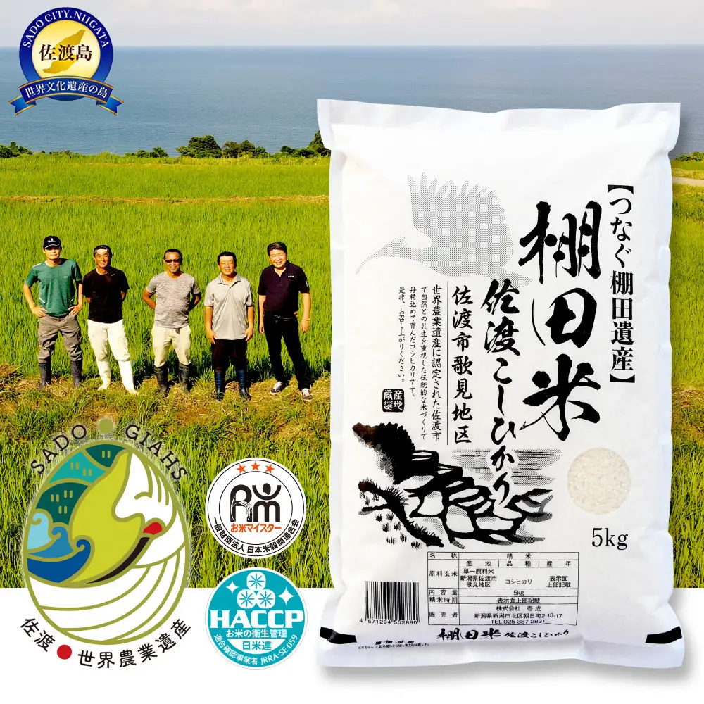 米 コシヒカリ 佐渡産 ( 5kg ) 棚田米 佐渡市歌見地区【令和7年米】