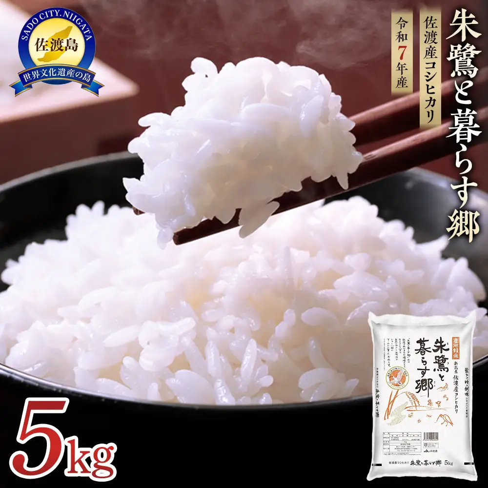 米 朱鷺と暮らす郷 佐渡産コシヒカリ 5kg 令和7年 コシヒカリ