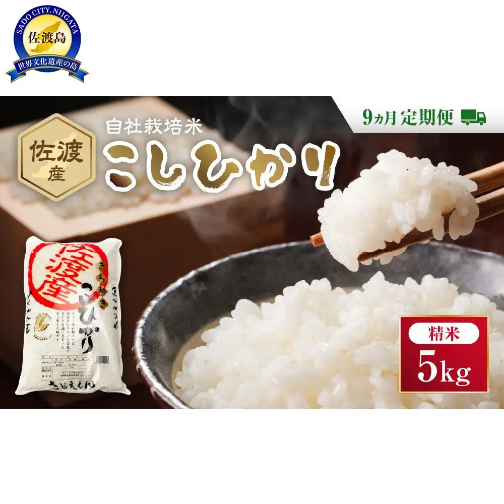 自社栽培米佐渡産こしひかり（精米5kg）9カ月定期便
