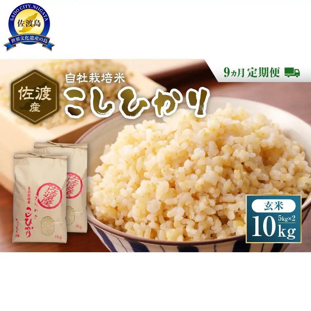 自社栽培米佐渡産こしひかり（玄米10kg）9カ月定期便