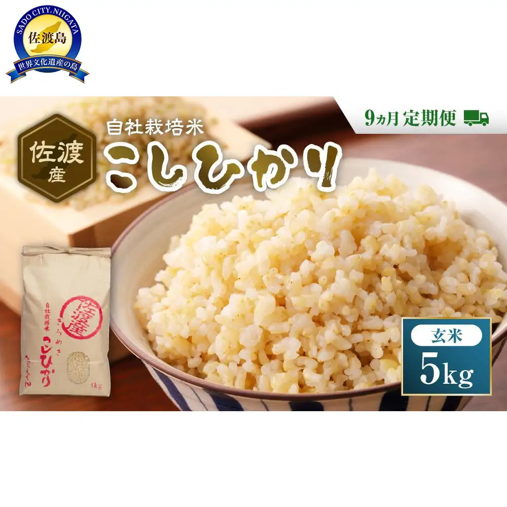 自社栽培米佐渡産こしひかり（玄米5kg）９カ月定期便