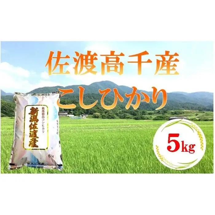 【令和7年産】佐渡高千産こしひかり 5kg