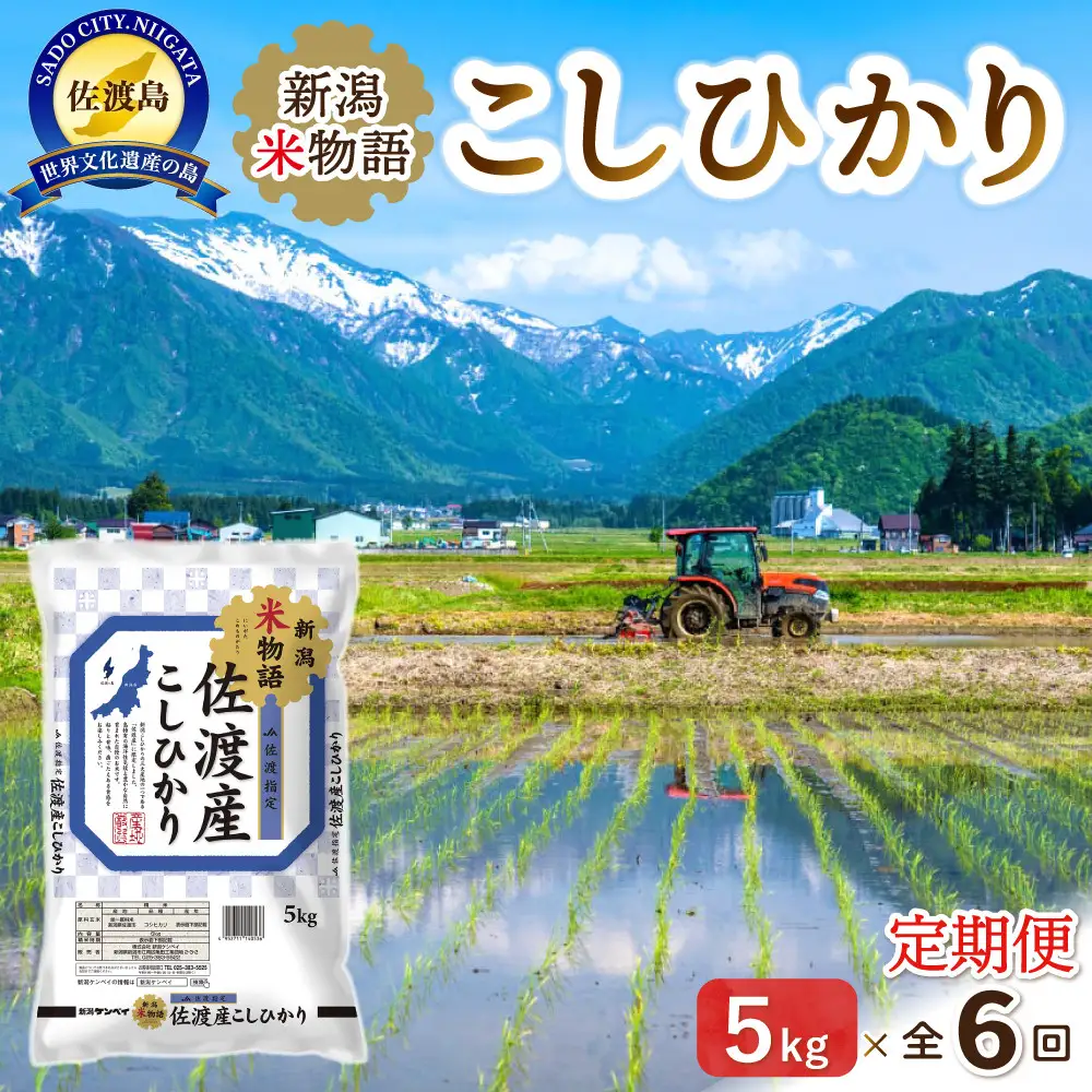 【6ヶ月連続お届け】新潟米物語佐渡産コシヒカリ（5kg）